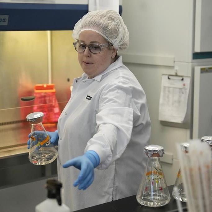 Plant-based meat is a simple solution to climate woes - if more people would eat it